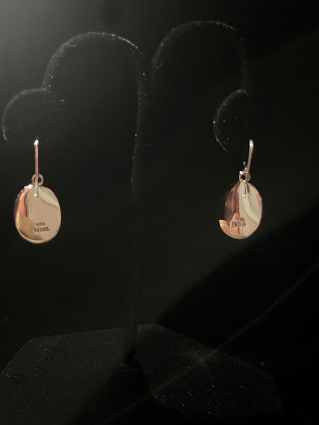 Sterling Silver & Tiger's Eye Southwestern Gemstone Earrings - Regul Silver