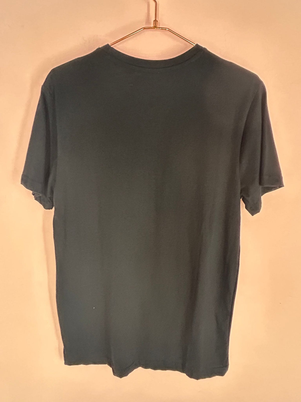 Back view of western Graphic Tee for Women, 'Better Left Alone', Chemistry