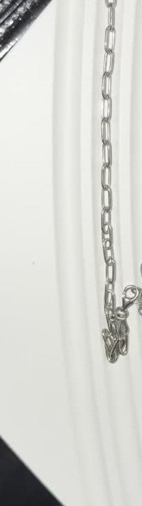 DESMOS paperclip chain necklace — with extender in rhodium-plated sterling silver, photographed in the DESMOS case at Regul Silver