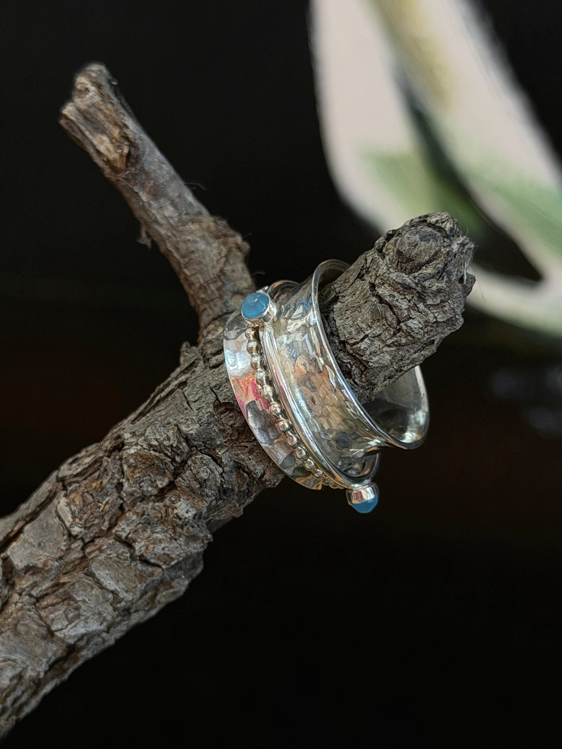 Regul Silver