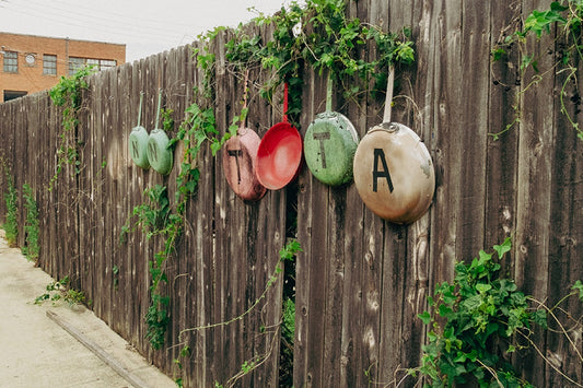 Old cooking pans painted green, red, and tan hanging on a weathered wooden fence with ivy climbing through