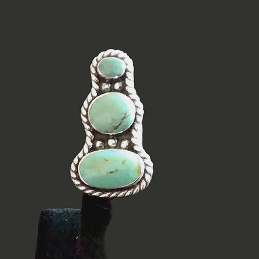 Back view of turquoise Ring, Sterling Silver, Sonoran Turquoise, Multi-Stone, Size 6