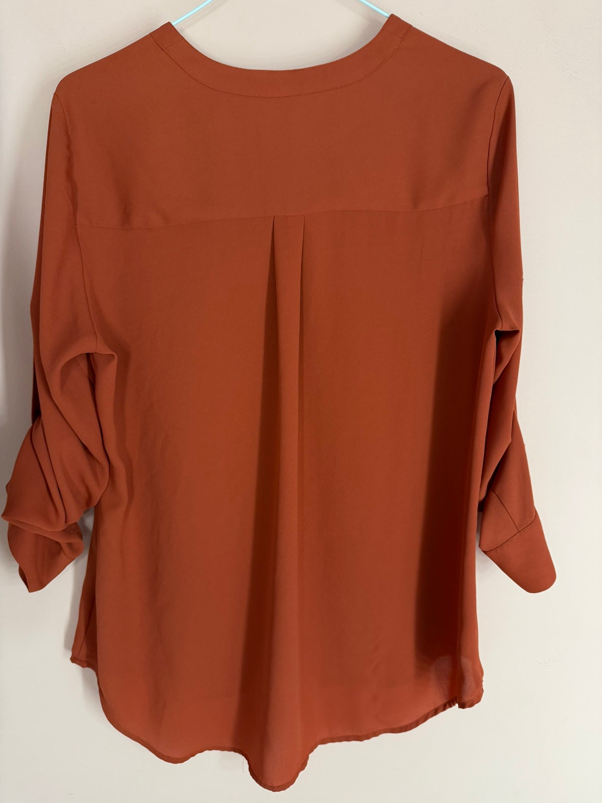 Express rust blouse, back view