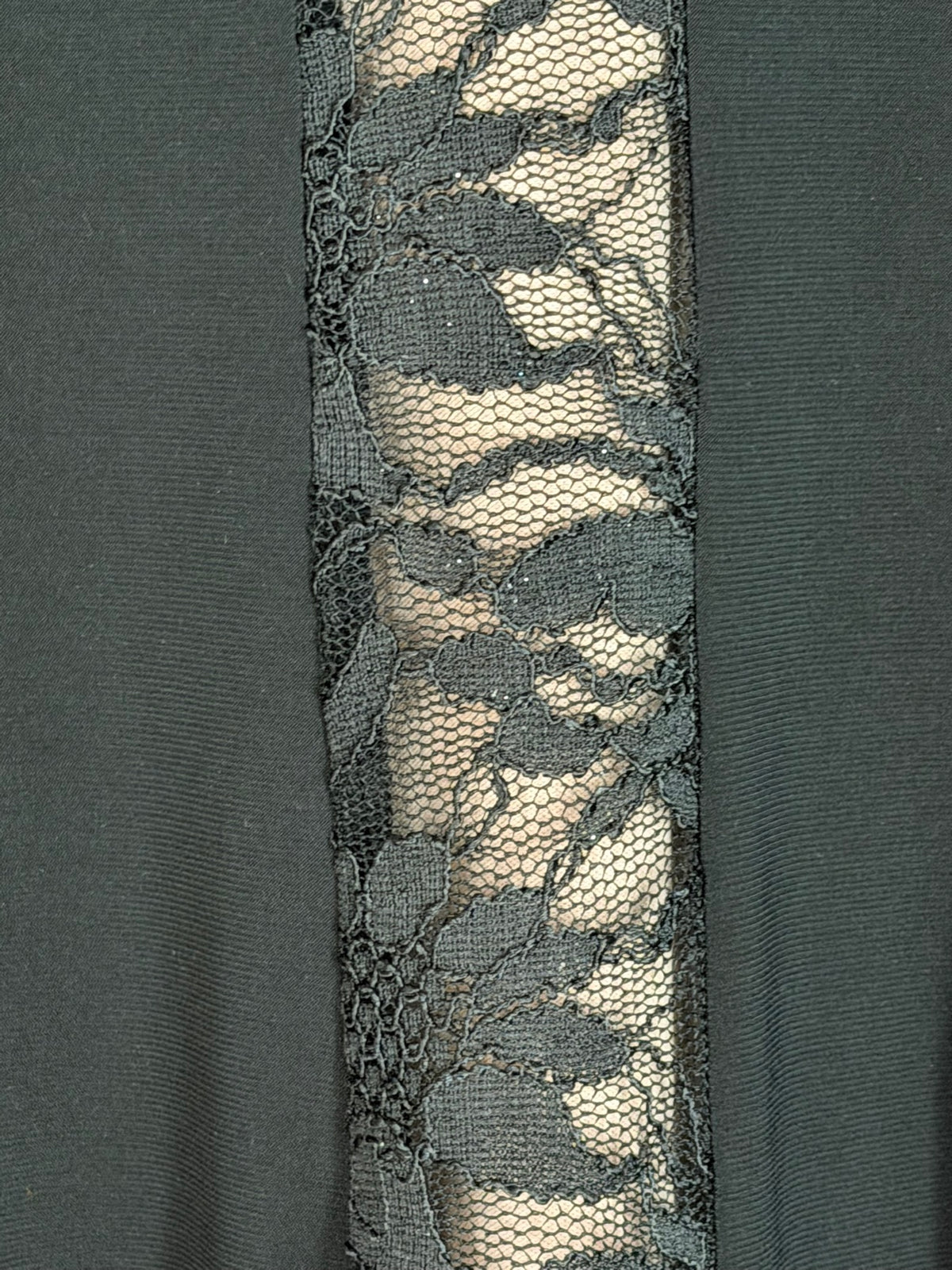 R&M Richards dress, lace godet panel detail