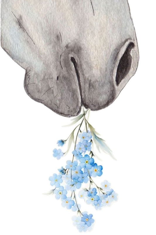 The inspiration: Horse Memorial Canvas — Forget Me Not, a watercolor of a grey muzzle holding forget-me-nots (artist uncredited)